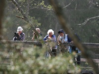 2016-05-13 14h47m16 - Op de brug bij ijsvogelriviertje - Gerda van der Meer